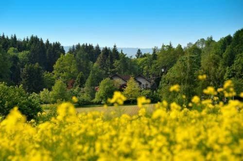 Altes Forsthaus Goseplack Hotel Hardegsen Esterno foto